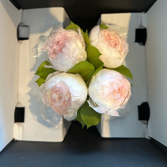 Venus et Fleur Sylvia Porcelain Vase Eternity Peonies - Picture 2 of 6